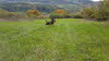 20201013_145418(1)