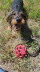 IMG-20200721-WA0001