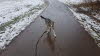 IMG-20210128-WA0020