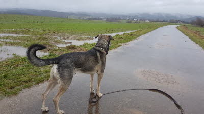 IMG-20210130-WA0007