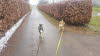 IMG-20210201-WA0017