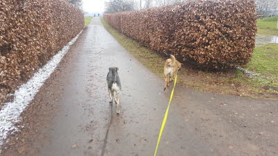 IMG-20210201-WA0017