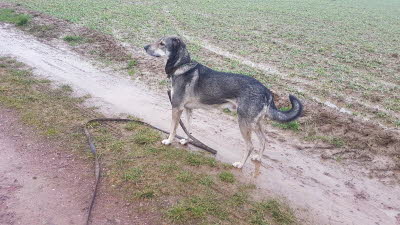 IMG-20210202-WA0030