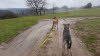 IMG-20210202-WA0032