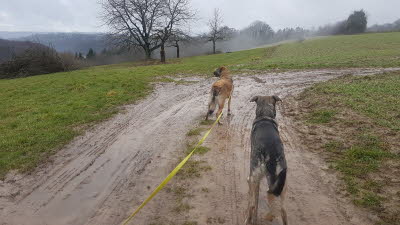 IMG-20210202-WA0032