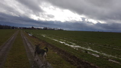 IMG-20210203-WA0004