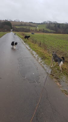 IMG-20210205-WA0007