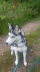 IMG-20210628-WA0000