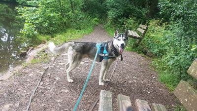 IMG-20210630-WA0006