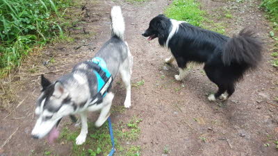 IMG-20210705-WA0000