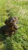 IMG-20210824-WA0001