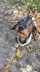 IMG-20211014-WA0013